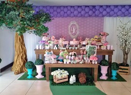 Festa em estilo provençal com passarela e guloseimas personalizadas (opcionais)